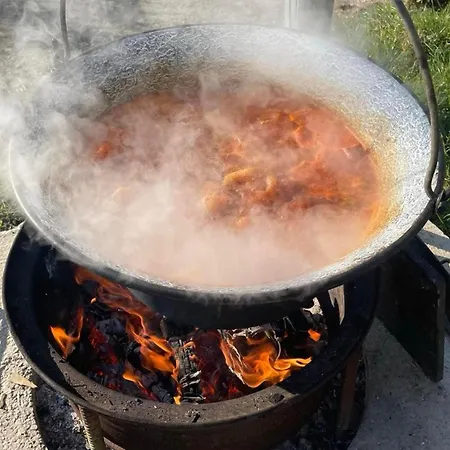 Diofaliget مزرعة للإقامة Pogány